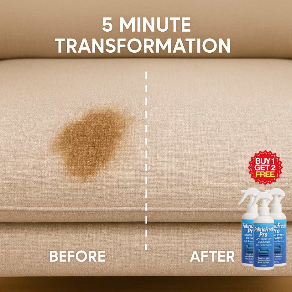 Sofa & Car Dry Clean Spray | BUY 1 GET 2 FREE