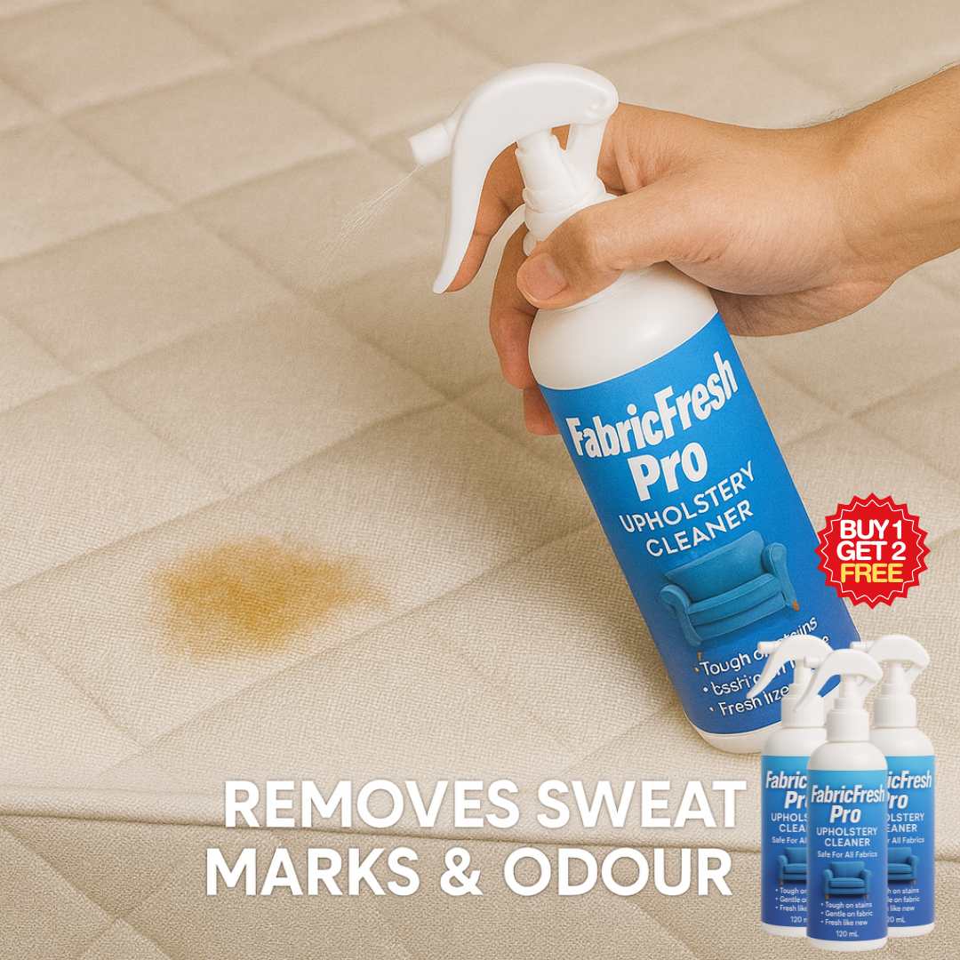 Sofa & Car Dry Clean Spray | BUY 1 GET 2 FREE