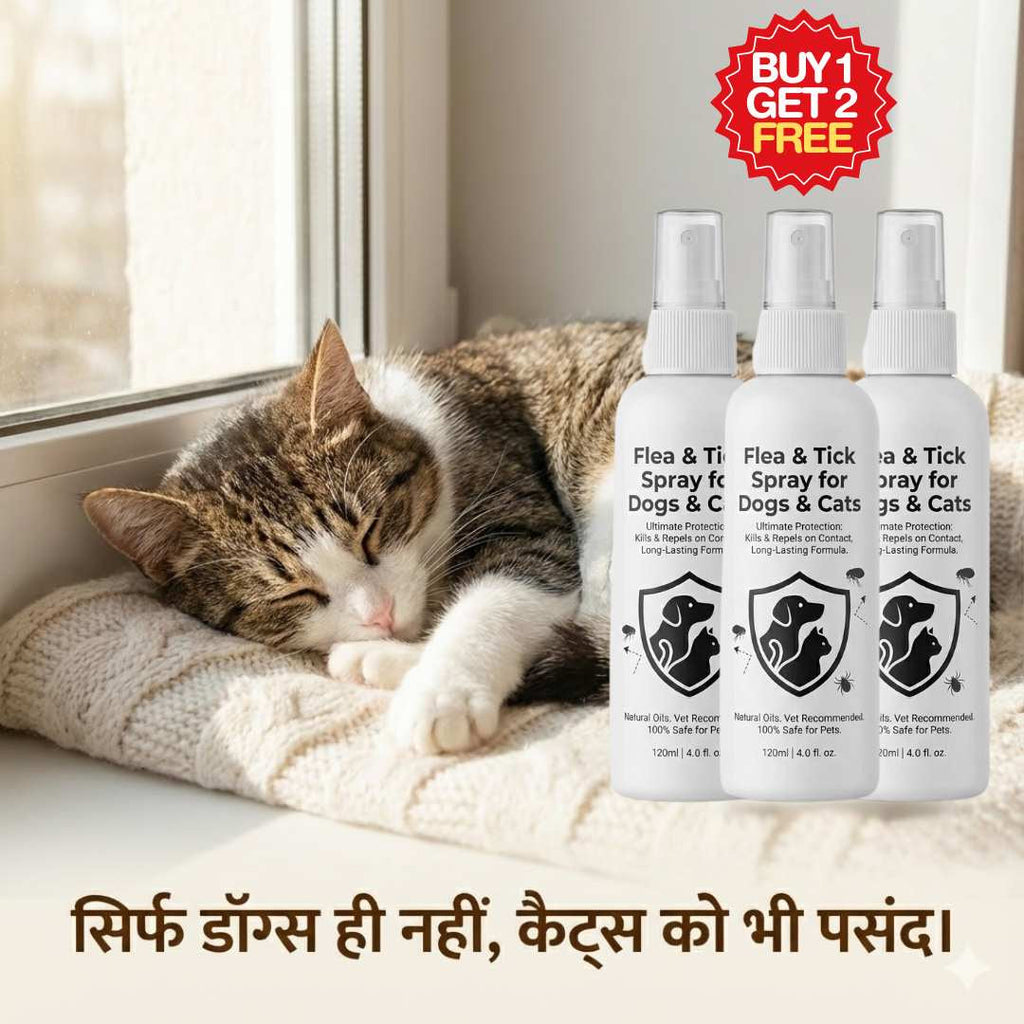 Flea & Tick Spray for Dogs & Cats | Buy 1 Get 2 Free