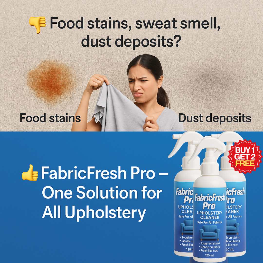Sofa & Car Dry Clean Spray | BUY 1 GET 2 FREE