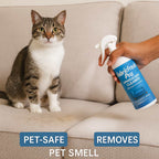 Sofa & Car Dry Clean Spray | BUY 1 GET 2 FREE